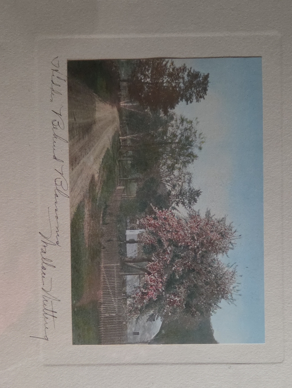 Framed WALLACE NUTTING Landscape Art Print with Blossoming Tree.
